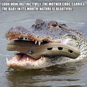 the-mother-croc