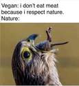vegans-vs-nature
