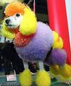 rainbow-poodle