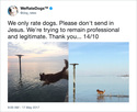 rate-dogs