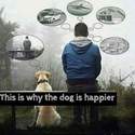 why-the-dog-is-happier