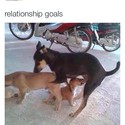 relationship-goals