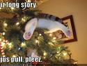cat-is-stuck-in-your-christmas-tree
