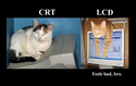 cats-crt-vs-lcd