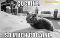 cocaine-so-much-cocaine