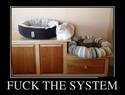 fuck-the-system
