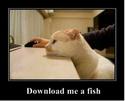 download-me-a-fish