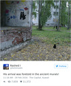 foretold-black-cat