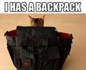 i-has-a-backpack