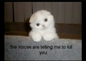 the-voices-are-telling-me-to-kill-you
