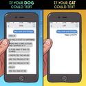 dog-vs-cat-texting