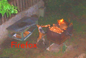 firefox4
