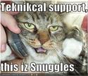 funny-pictures-technical-support-cat