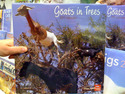 goats-in-trees