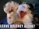 leave-britney-alone