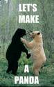 lets-make-a-panda