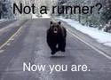 not-a-runner