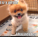 peg-leg-pirate