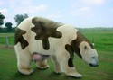 polar-cow