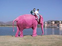 rozov-slon