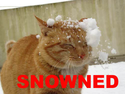 snowned