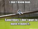 sometimes-i-dont-want-to-move-it-move-it
