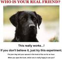 who-is-your-real-friend