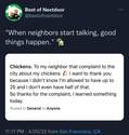 chickens-complaint
