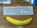 gigantus-bananus