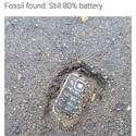 gsm-fossil-found