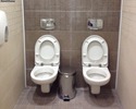 social-toilet