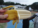 banan-troika