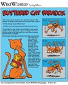 buttered-cat-paradox