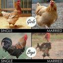 married-vs-single