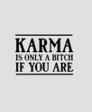 karma-is-only-a-bitch-if-you-are
