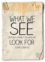 what-we-see-depends-mainly-on-what-we-look-for