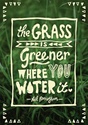 the-grass-is-greener