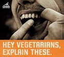 hey-vegetarians