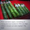 pure-cannabis-cigars