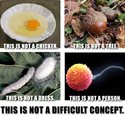 abortion-is-not-a-difficult-concept