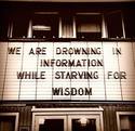 drowning-in-information