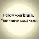 follow-your-brain