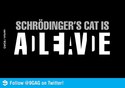 schroedingers-cat-is