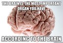 the-brain