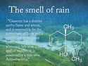 the-smell-of-rain