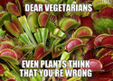 venus-fly-trap-vs-vegetarians
