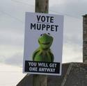 vote-muppet