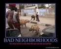bad-neighborhoods