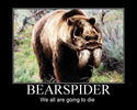 bearspider