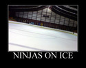ninjas-on-ice-there-are-hundreds-of-them
